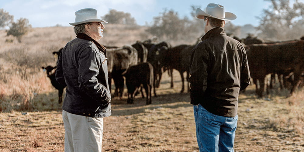 Two men talking in cattle yard