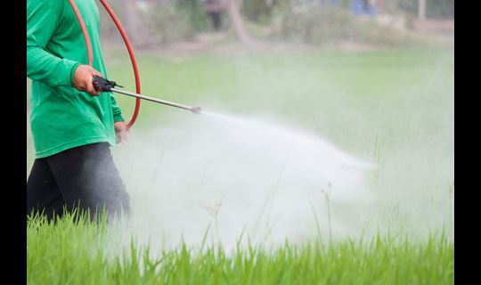 Man Spraying