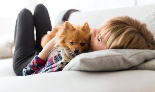 millenial dog