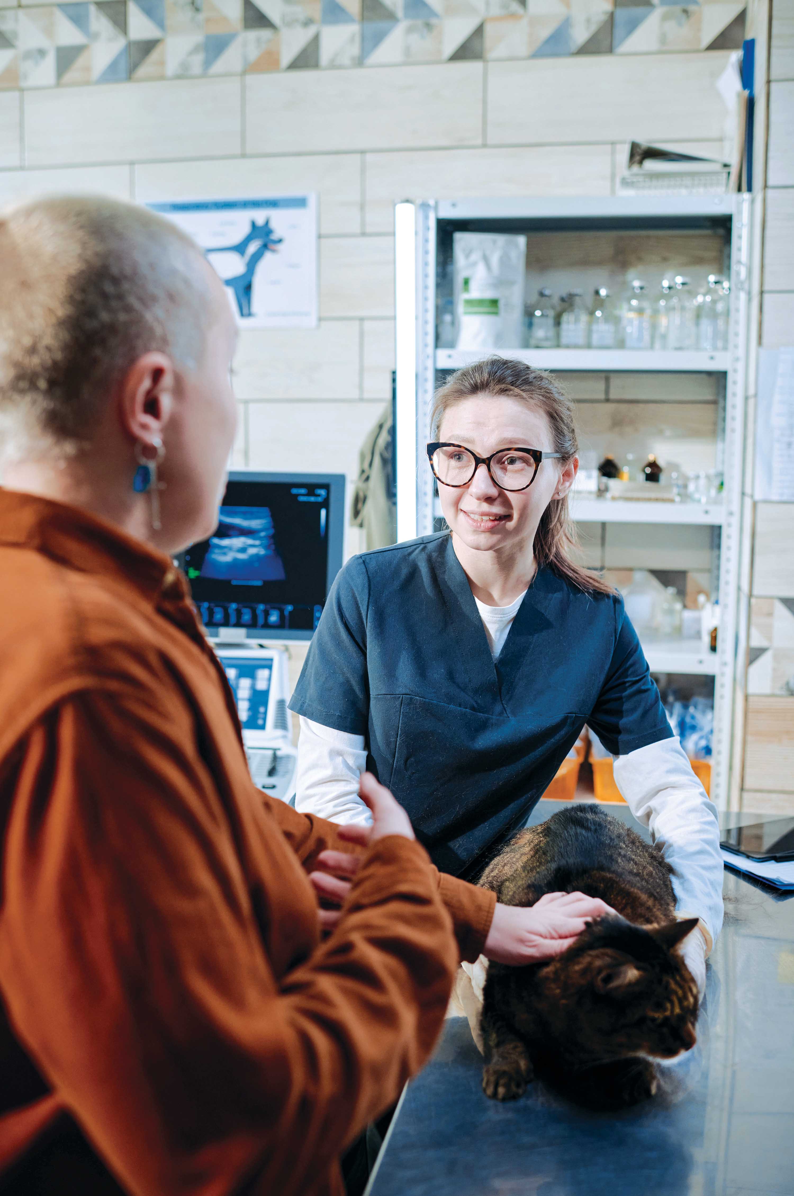 vet talking to person about cat