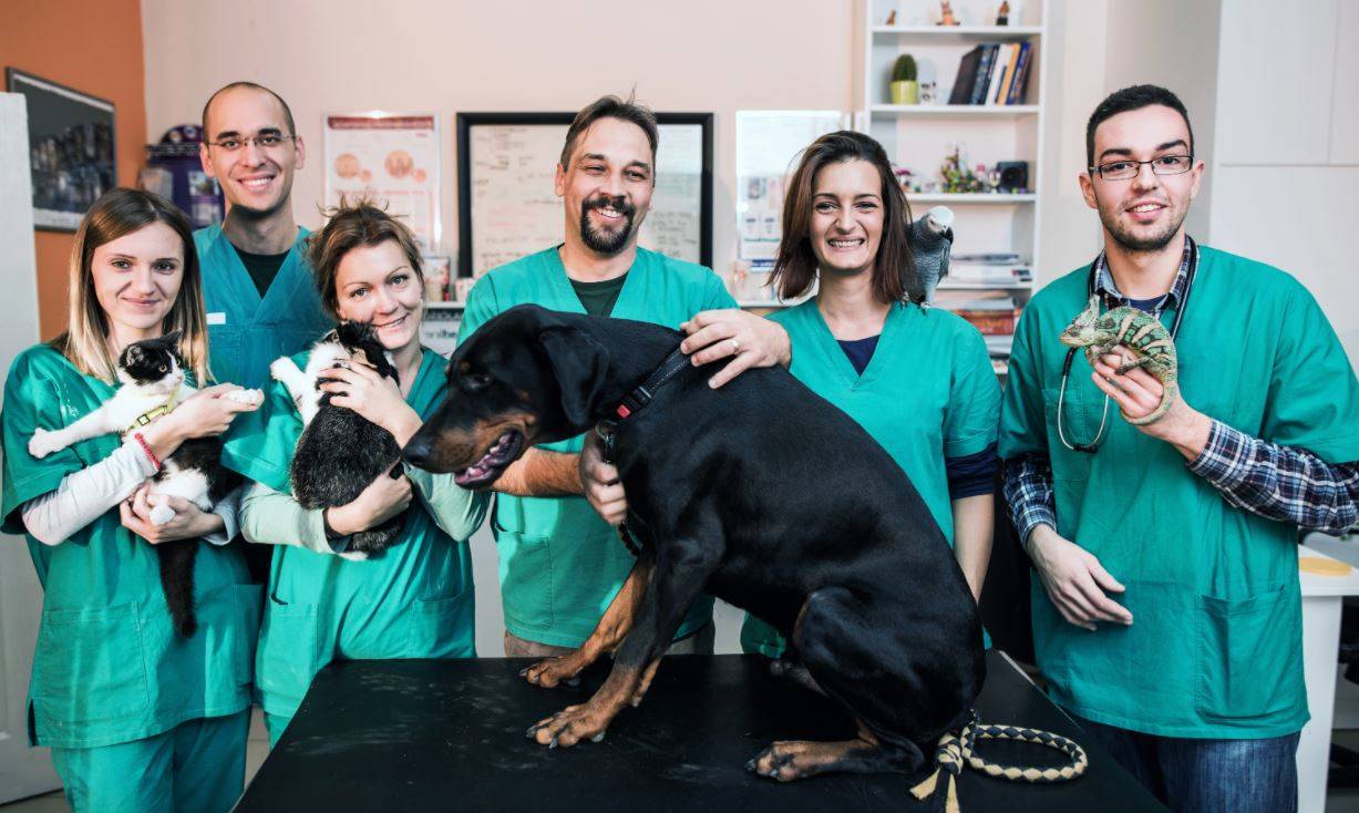 veterinary_team_smiling