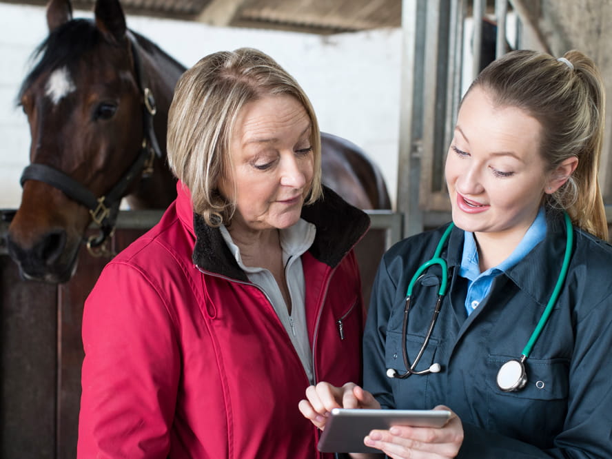 Equine veterinarian showing tablet to client with horse in the background