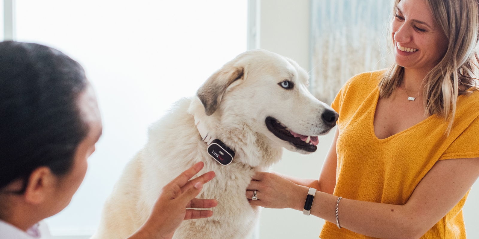 pet owner with white dog wearing LinkVet collar
