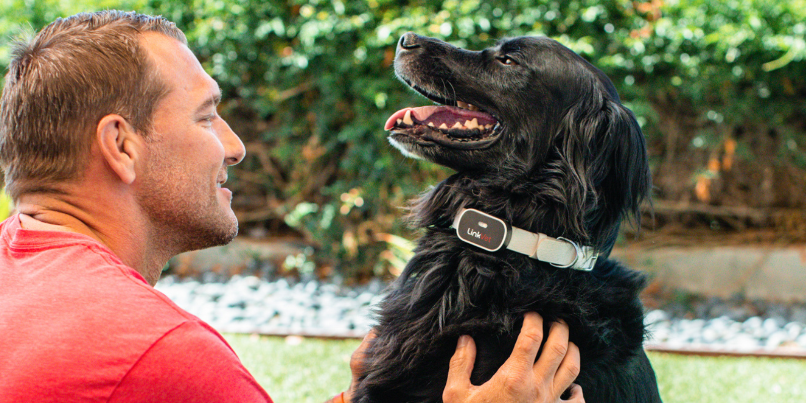 man petting dog wearing LinkVet wearable