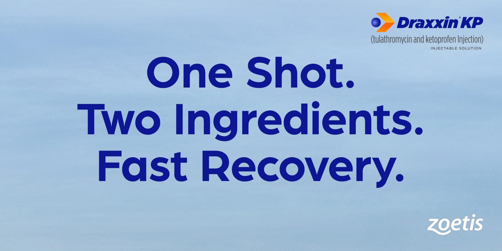 One shot. Two ingredients. Fast recovery. Draxxin KP, Zoetis