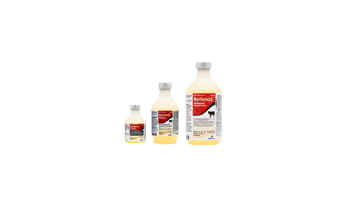 Norfenicol® Injectable Solution