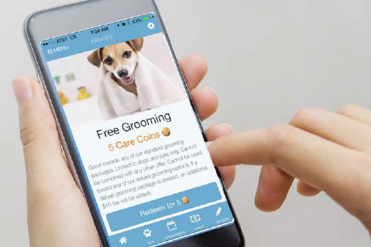 allydvm_client_loyalty_program_card