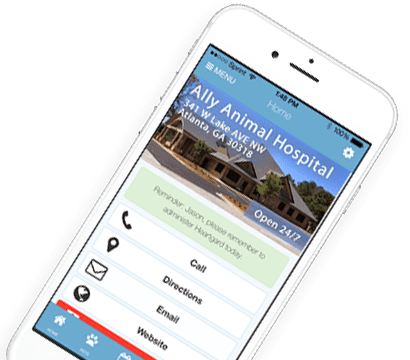 allydvm_mobile_app_one_card