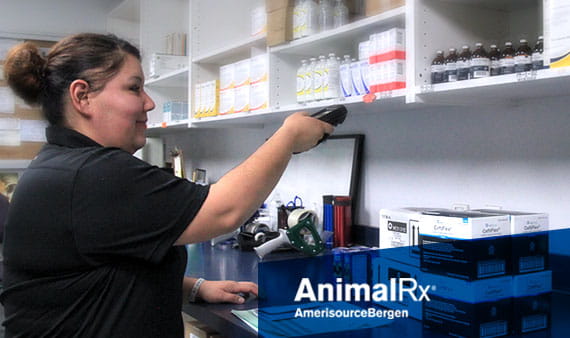 AnimalRxPhoto2